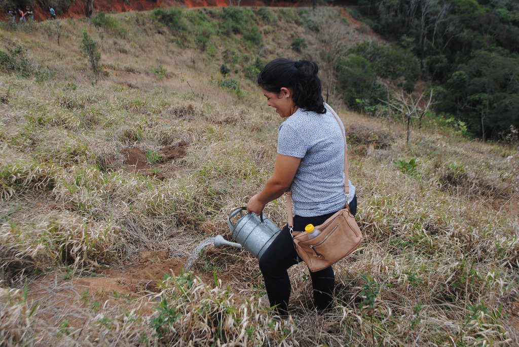 Iniciadas as ações para o reflorestamento da APA da Pedra Itaúna