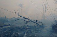 Patrimônio devastado: Incêndio na Pedra Itaúna atinge 155 hectares de vegetação