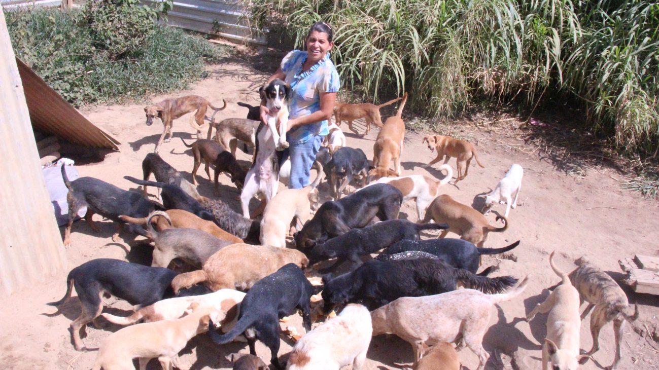 Prestes a ser despejada, instituição pode devolver centenas de cães para as ruas de Caratinga