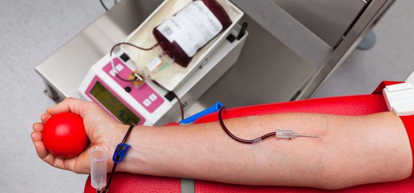 ‘Quem doa sangue doa vida’