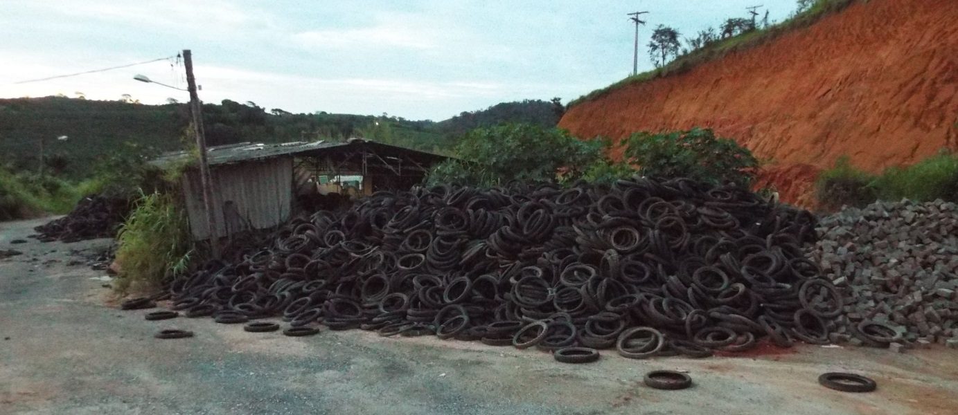 Dengue: Água parada e pneus descartados colocam Parque de Exposições em situação de risco