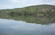Monitoramentos ambientais evidenciam bom manejo florestal praticado pela CENIBRA na região da APA Caratinga