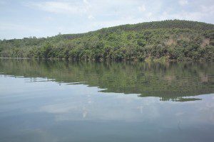 Cenibra realiza análise da qualidade da água nas áreas de projetos florestais.