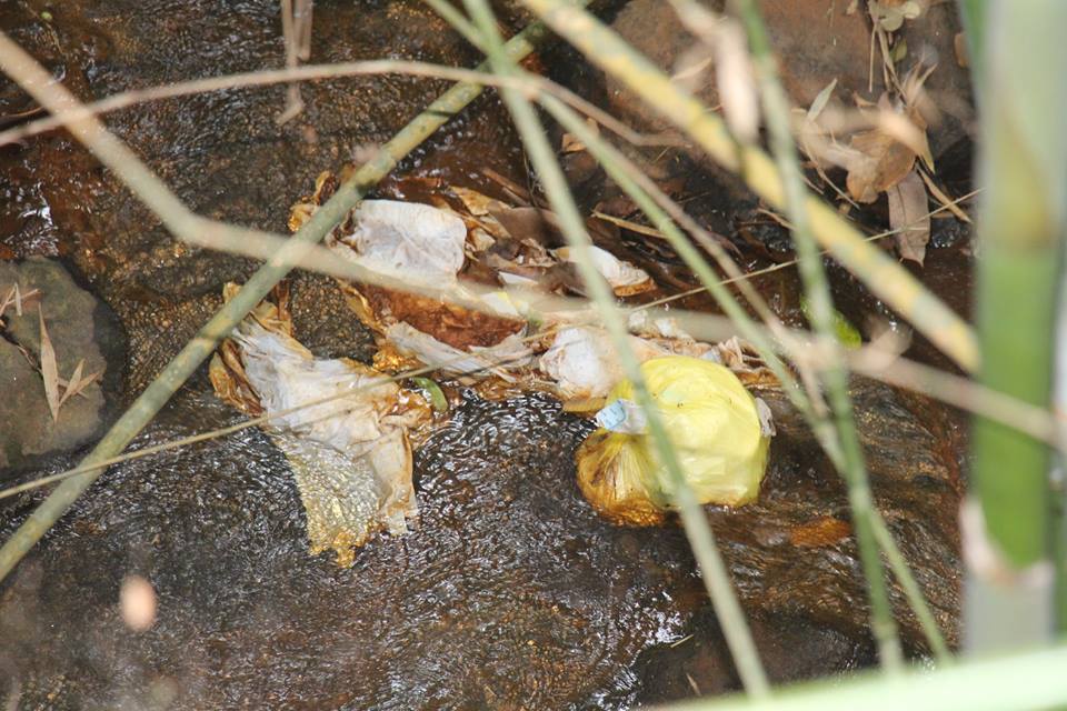 Poluição de cachoeira em Sapucaia continua causando transtornos