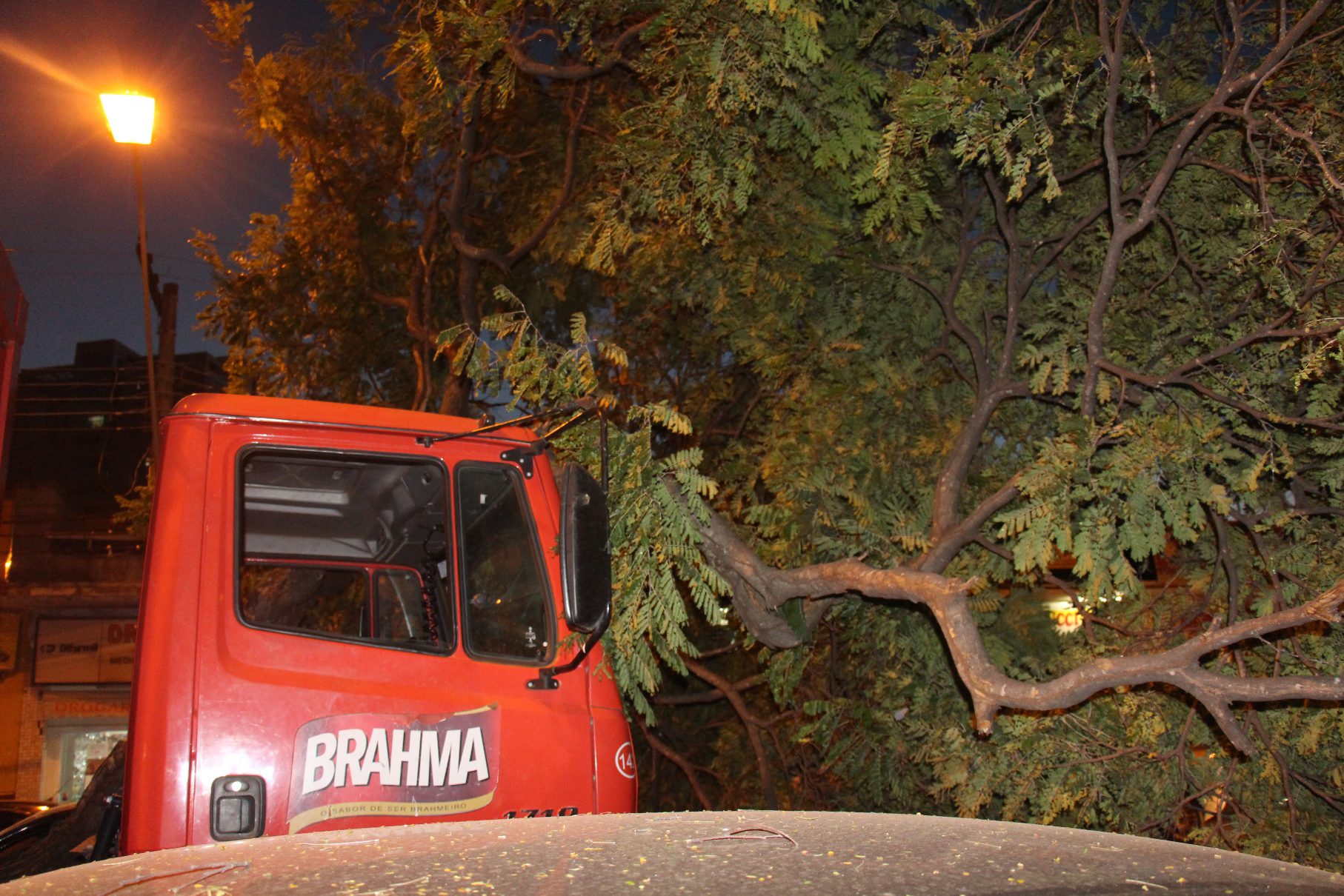 Árvore cai e provoca transtornos na Avenida Moacyr de Mattos