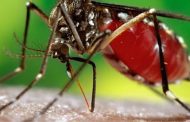 Casos suspeitos de doenças provocadas pelo mosquito da Dengue recuam em Caratinga