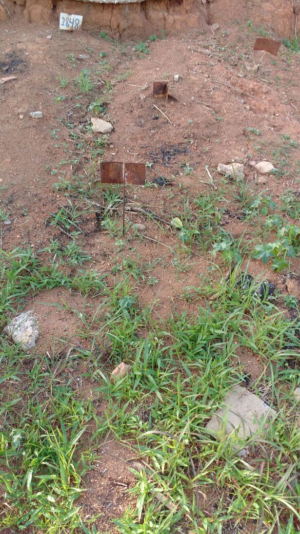Seis corpos sem identificação são sepultados por ano no Cemitério São João Batista