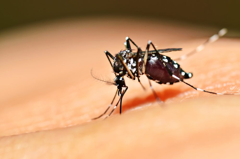 Caratinga está em situação de alerta de dengue, chikungunya e zika