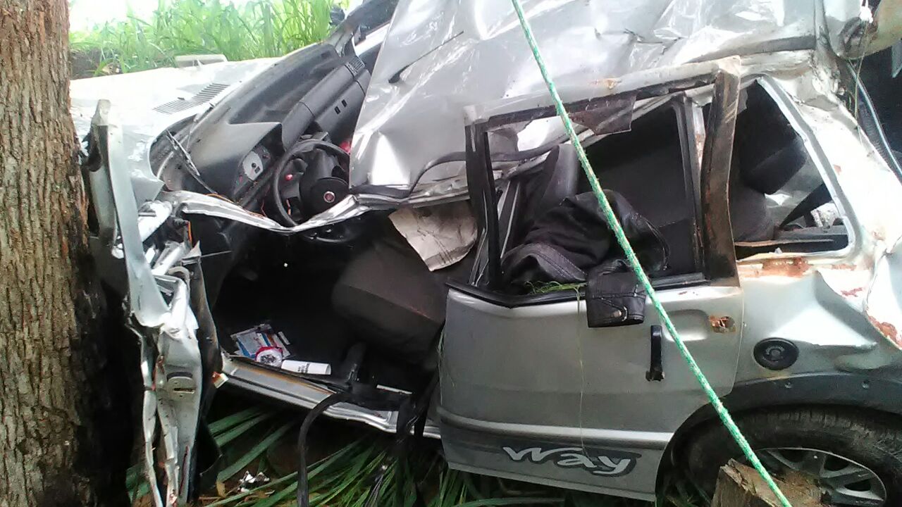 Fiat Uno colide contra árvore e motorista fica gravemente ferido