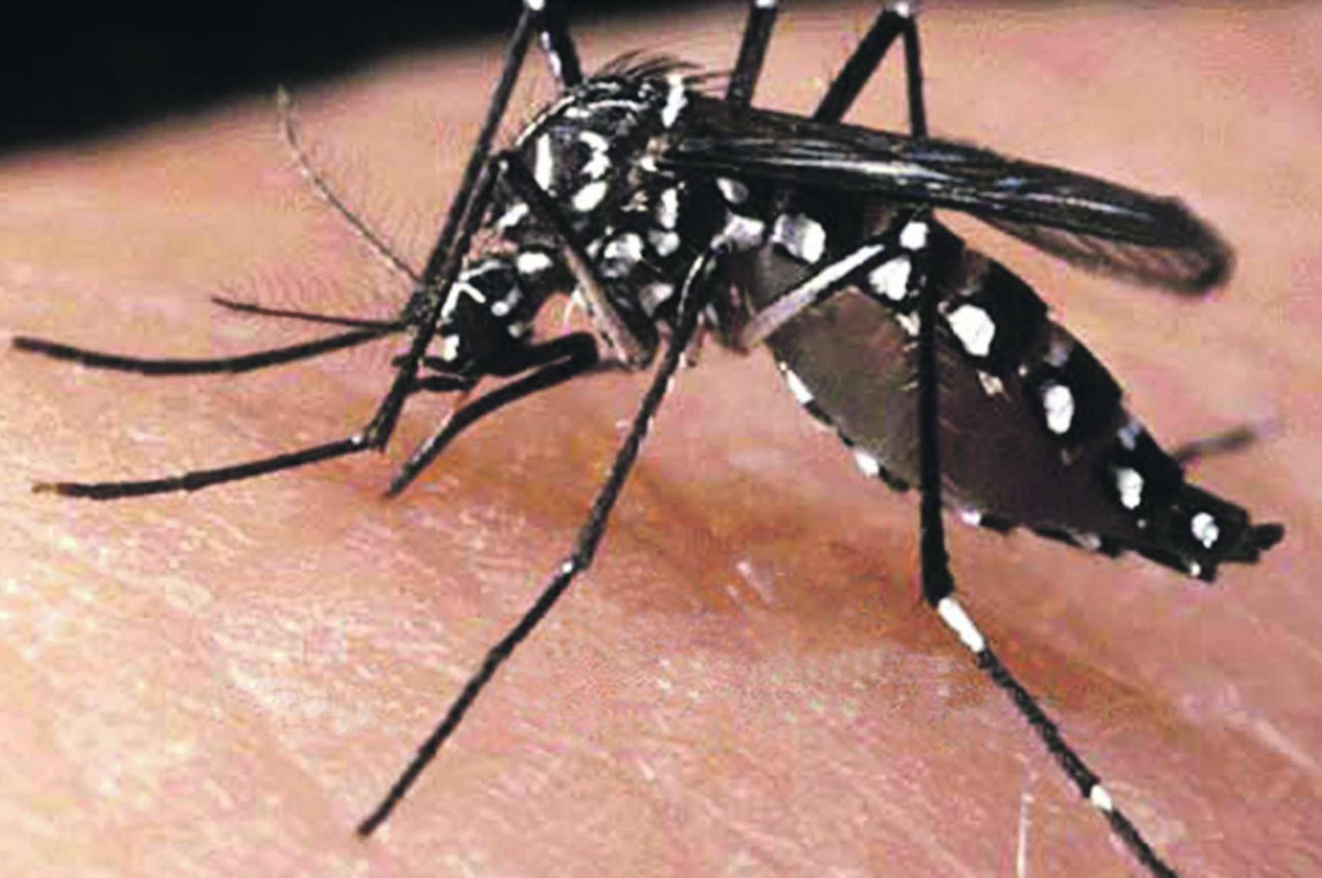 Risco de surto de dengue em Caratinga