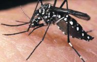 Casos suspeitos de Dengue em Caratinga caem de 1378 para 15 em um ano