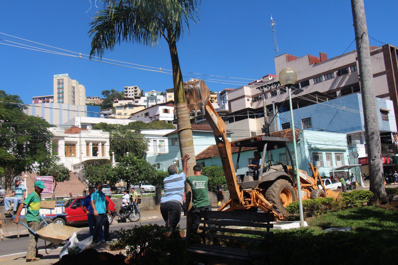 Plantio de palmeiras na Praça Cesário Alvim