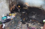 Incêndio deixa rastro de morte e destruição no Santa Cruz