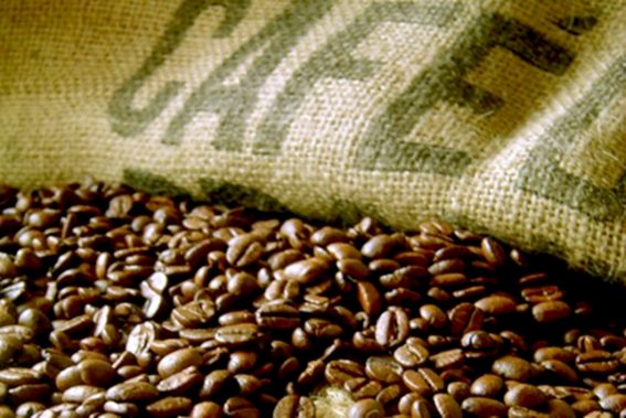 Conab estima 44,77 milhões de sacas para safra do café