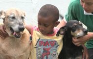 Terapias com a participação de animais ganham cada vez mais destaque no centro de reabilitação UNEC