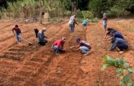 Prefeitura de Inhapim promove mutirão solidário para construção de horta no Barracão do Produtor Rural