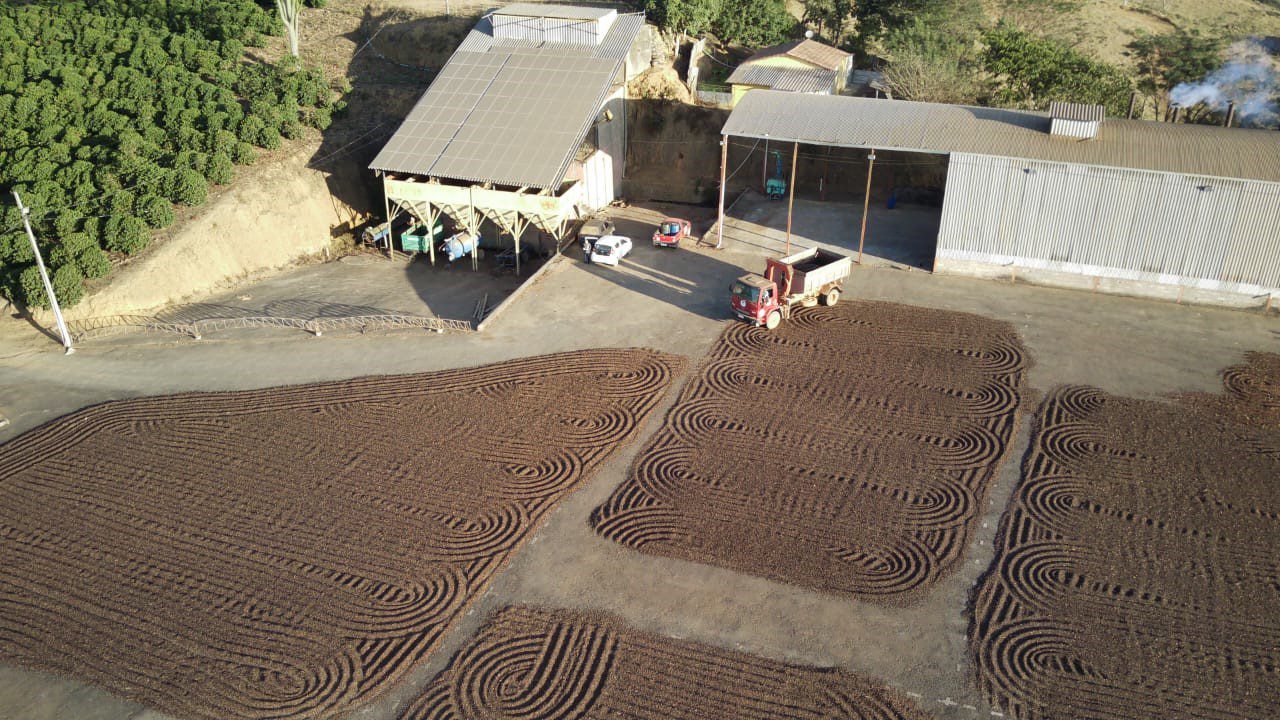 Centro de Excelência do Café: 11 anos beneficiando o produtor rural