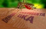 Combate ao mosquito Aedes aegypti