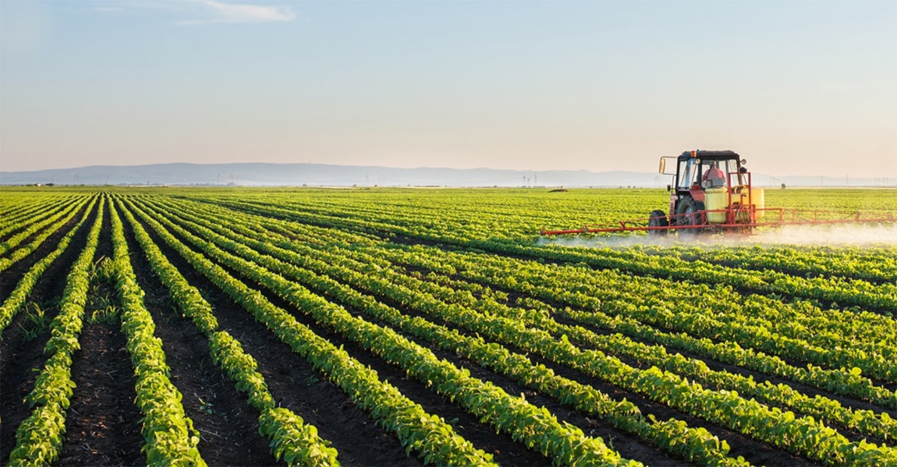 NOTÍCIAS DO AGRO