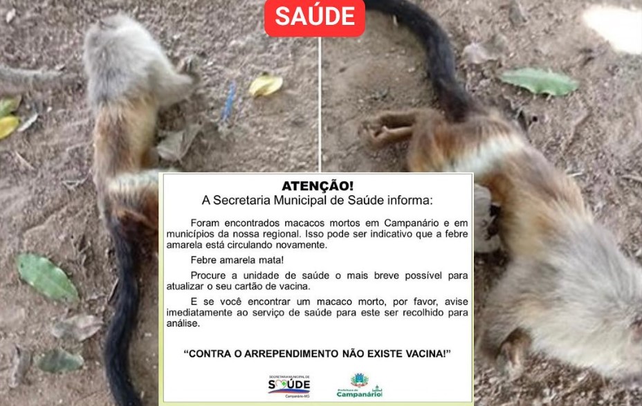 Prefeitura de Campanário emite alerta para encontro de vários macacos mortos: 