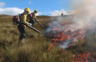 Onda de calor em Minas Gerais pode superar os 39°C e aumentar o risco de incêndios florestais no estado