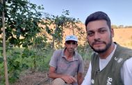 ATeG Fruticultura eleva renda de produtor em 812% em Raul Soares