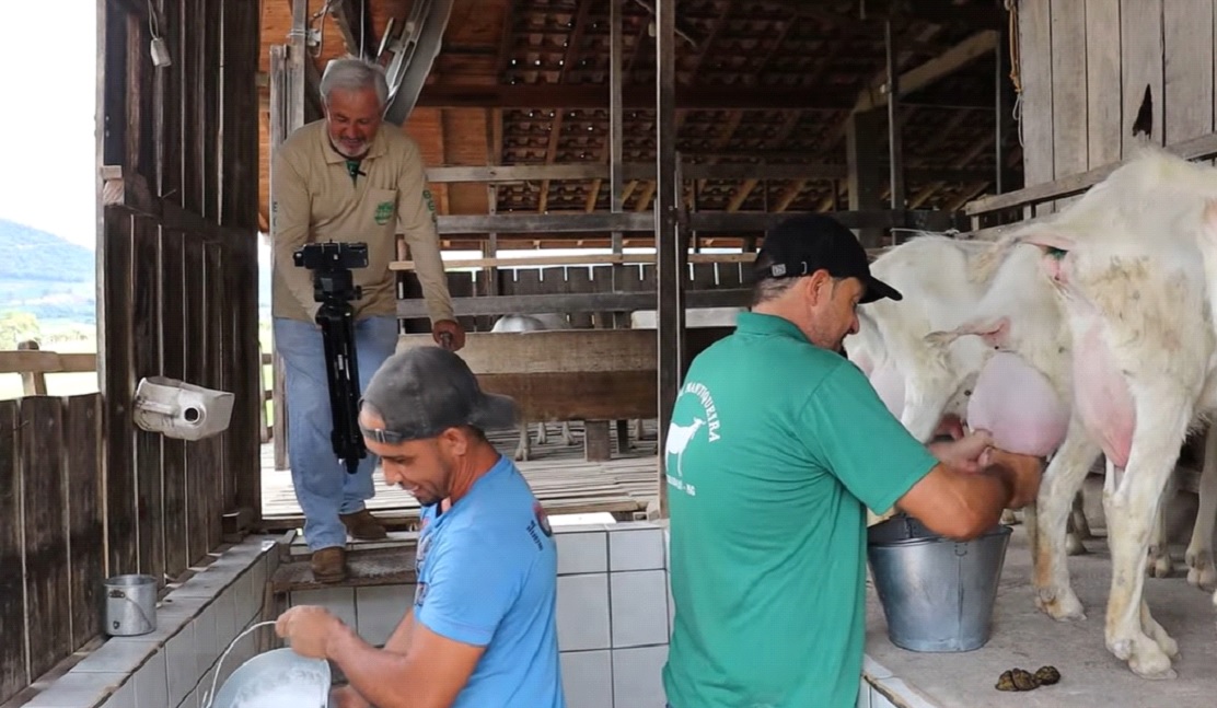 Caratinga recebe projeto com foco em criadores de ovinos e caprinos