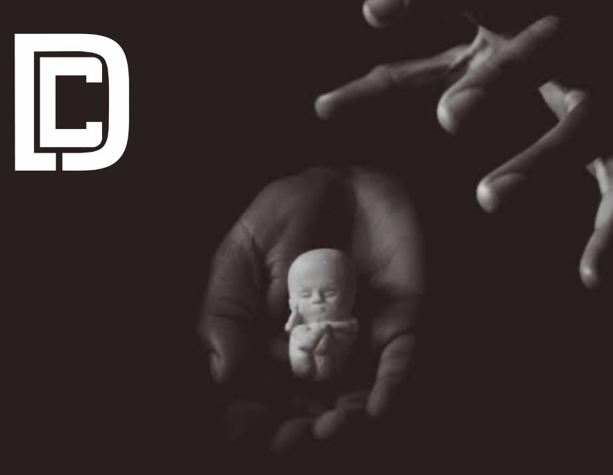 MPMG denuncia homem por provocar aborto em jovem grávida de gêmeos, em Inhapim