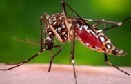 Municípios da região com alta incidência para Dengue e Chikungunya