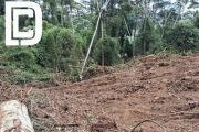 Polícia Militar de Meio Ambiente prende autor de desmatamento
