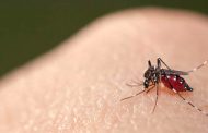 Exames apontam mais diagnósticos de Chikungunya em Caratinga