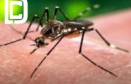 Confirmado óbito por Chikungunya em Caratinga