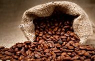Exportações do café crescem em Caratinga no primeiro semestre do ano