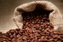 Exportações do café crescem em Caratinga no primeiro semestre do ano