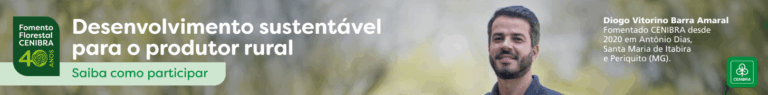 Planejamento Forestal CENIBRA